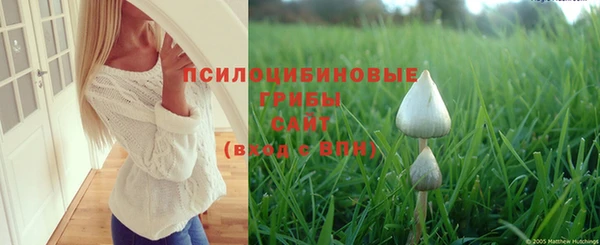 прущая мука Богородск