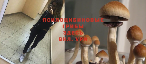 ALPHA-PVP Богородицк