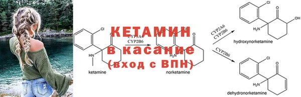 прущие крисы Богданович
