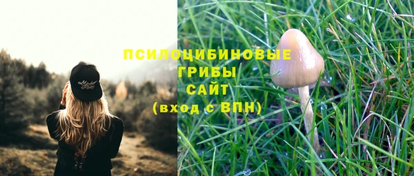 ALPHA-PVP Богородицк