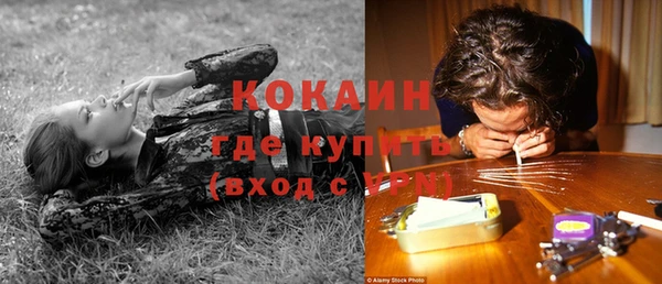 прущая мука Богородск