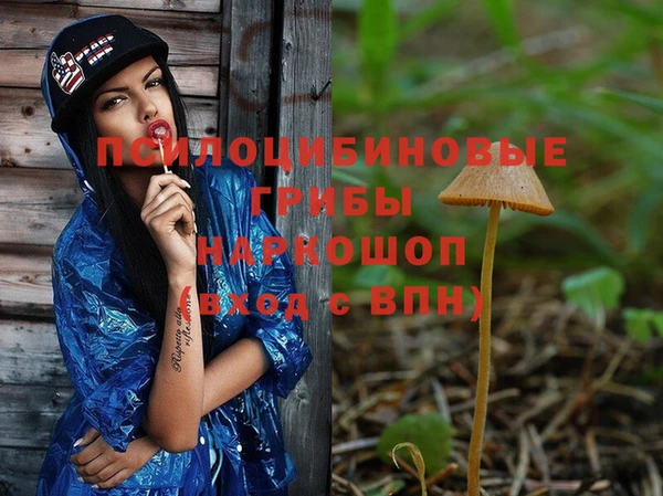 прущие крисы Богданович